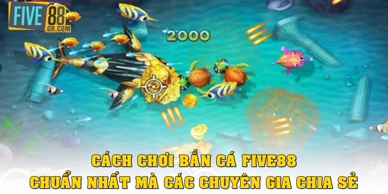 Cách chơi bắn cá Five88 chuẩn nhất mà các chuyên gia chia sẻ
