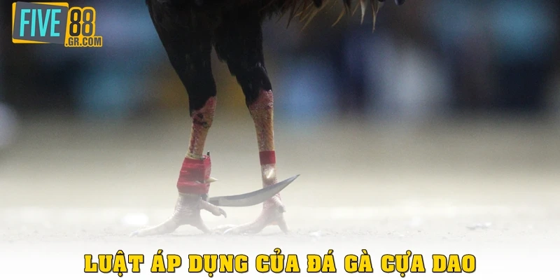 Luật áp dụng của đá gà cựa dao