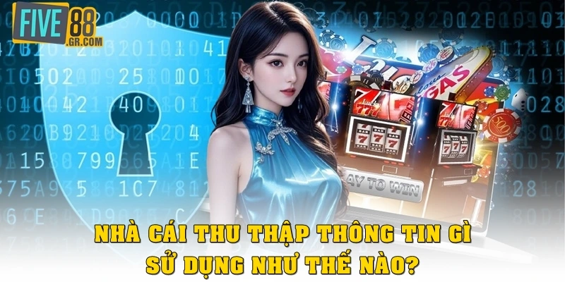 Nhà cái thu thập thông tin gì, sử dụng như thế nào?