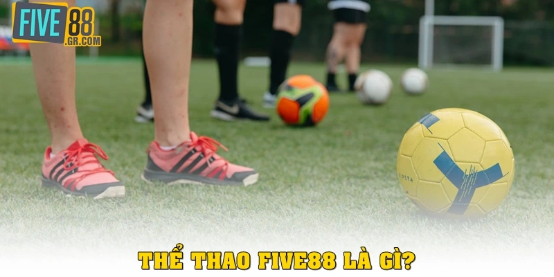 Thể thao Five88 là gì?